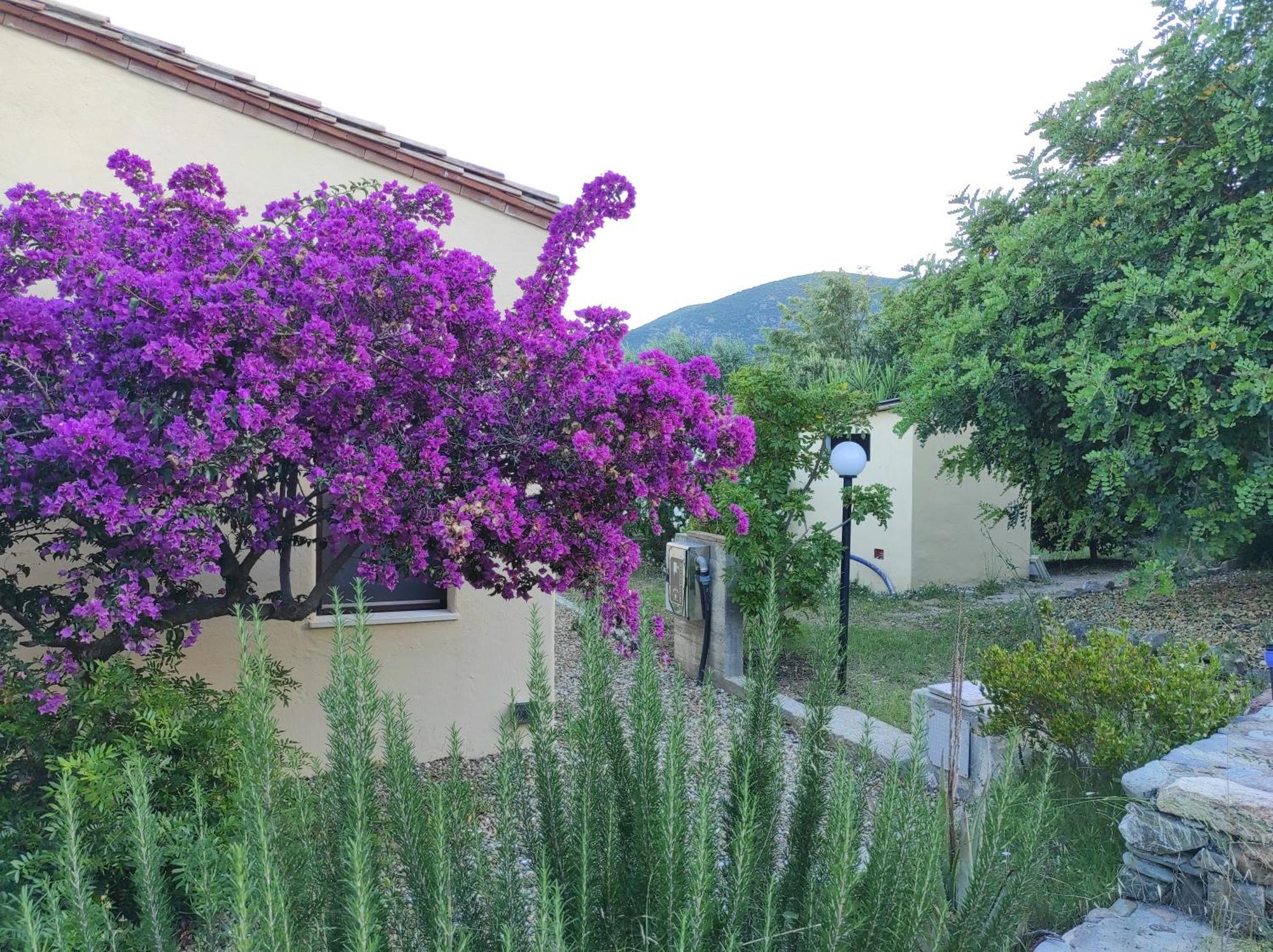 Sa Teria Village Tertenia Exterior photo