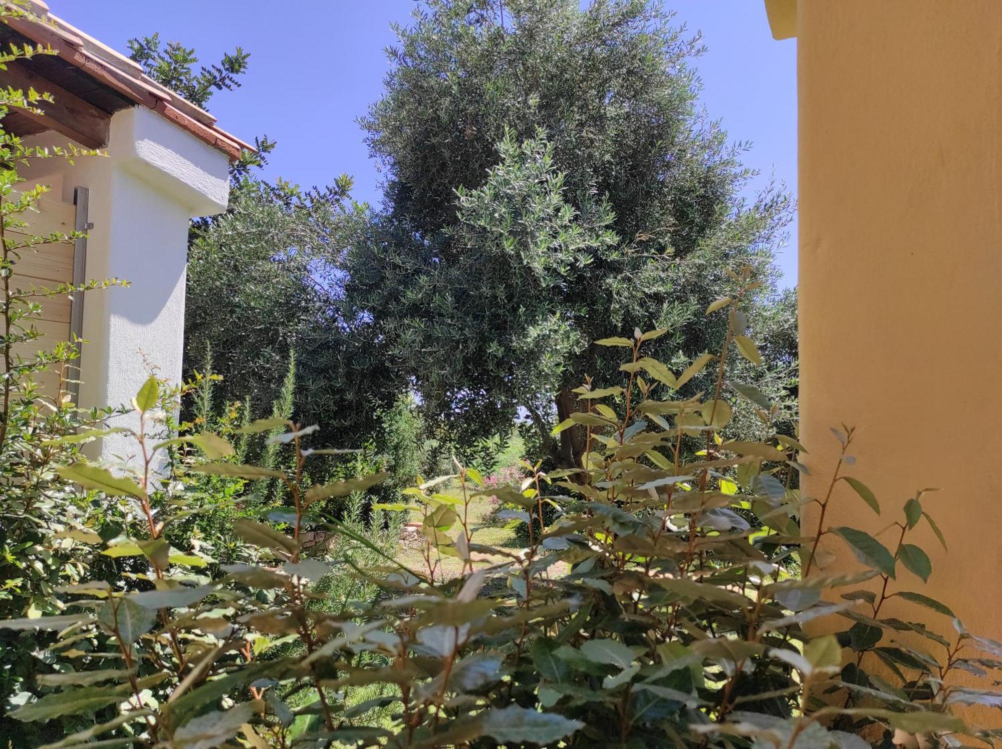 Sa Teria Village Tertenia Exterior photo