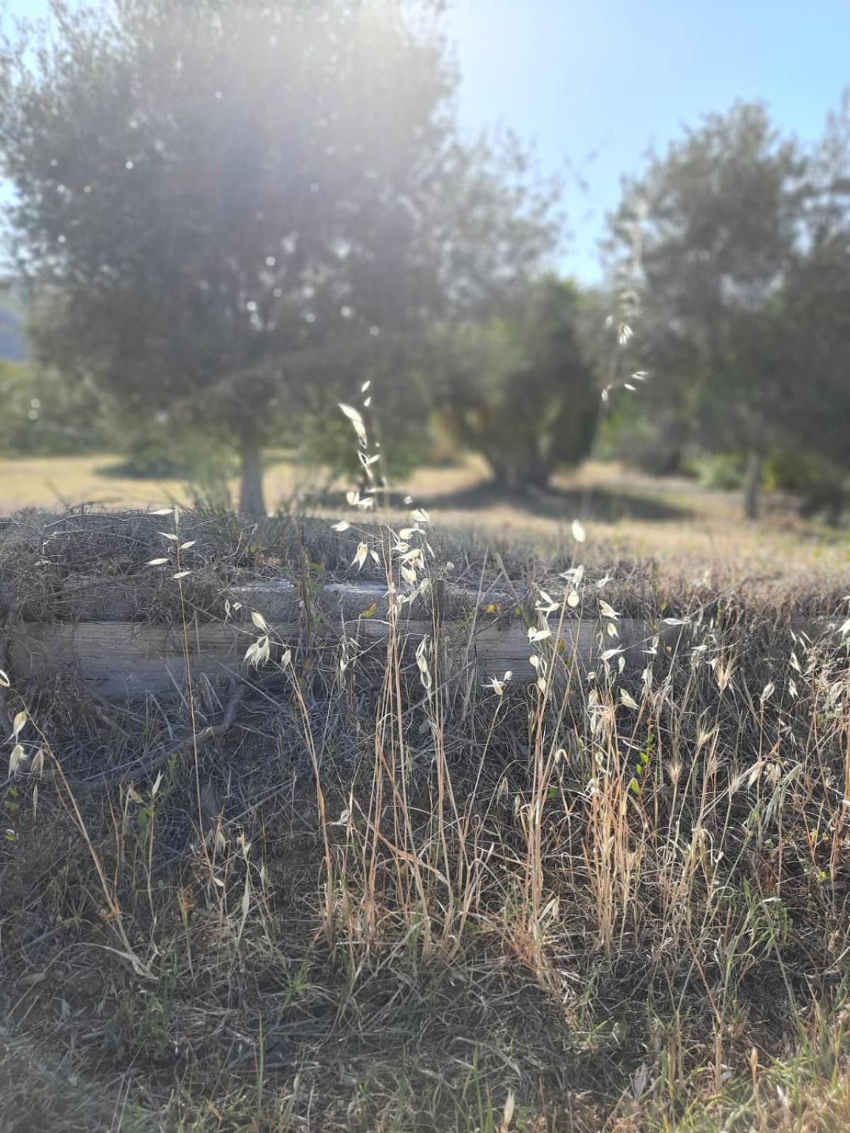 Sa Teria Village Tertenia Exterior photo
