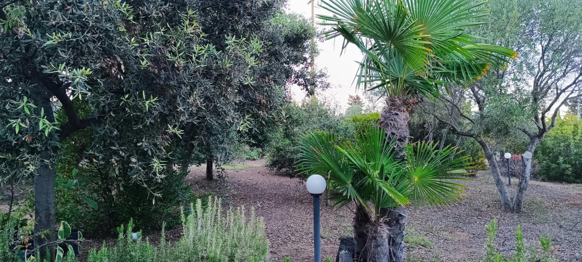 Sa Teria Village Tertenia Exterior photo