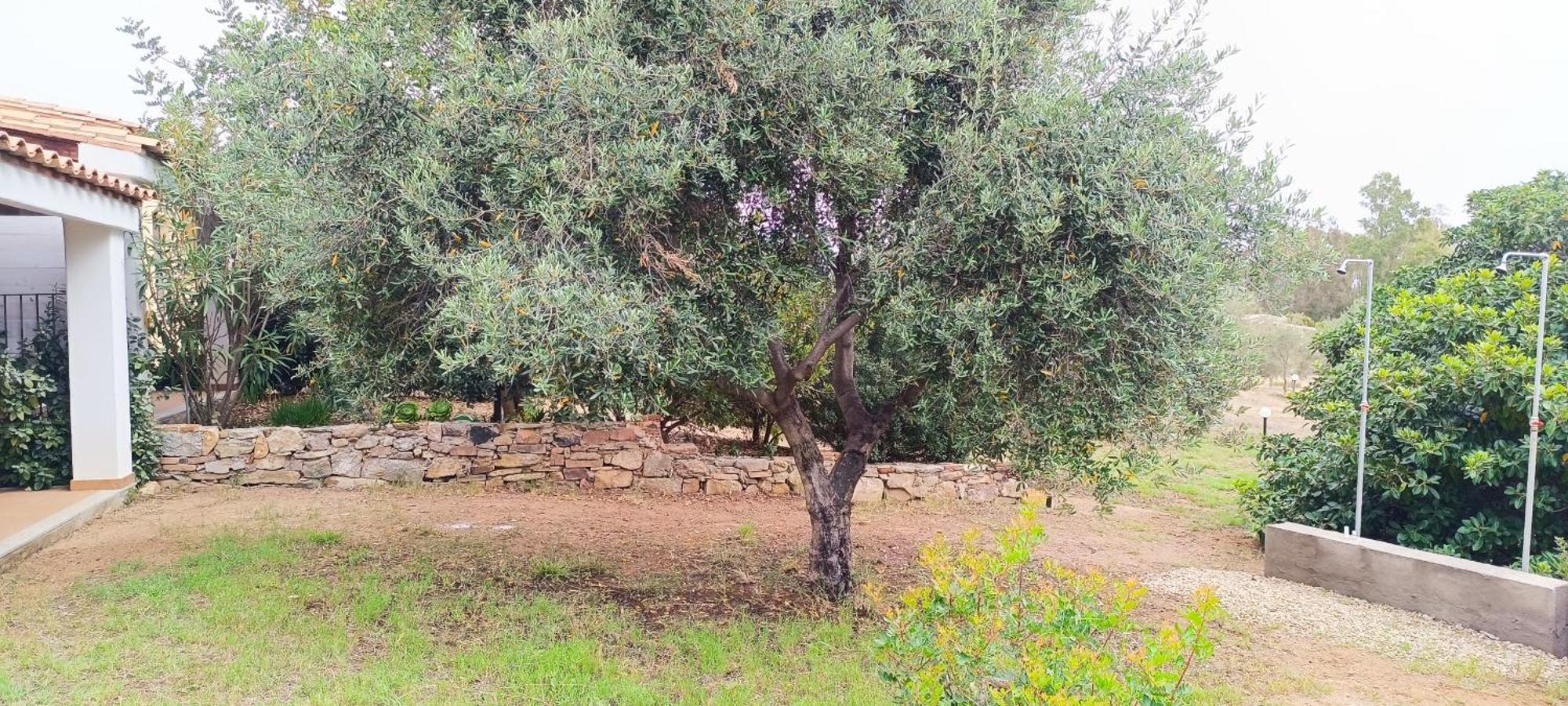 Sa Teria Village Tertenia Exterior photo