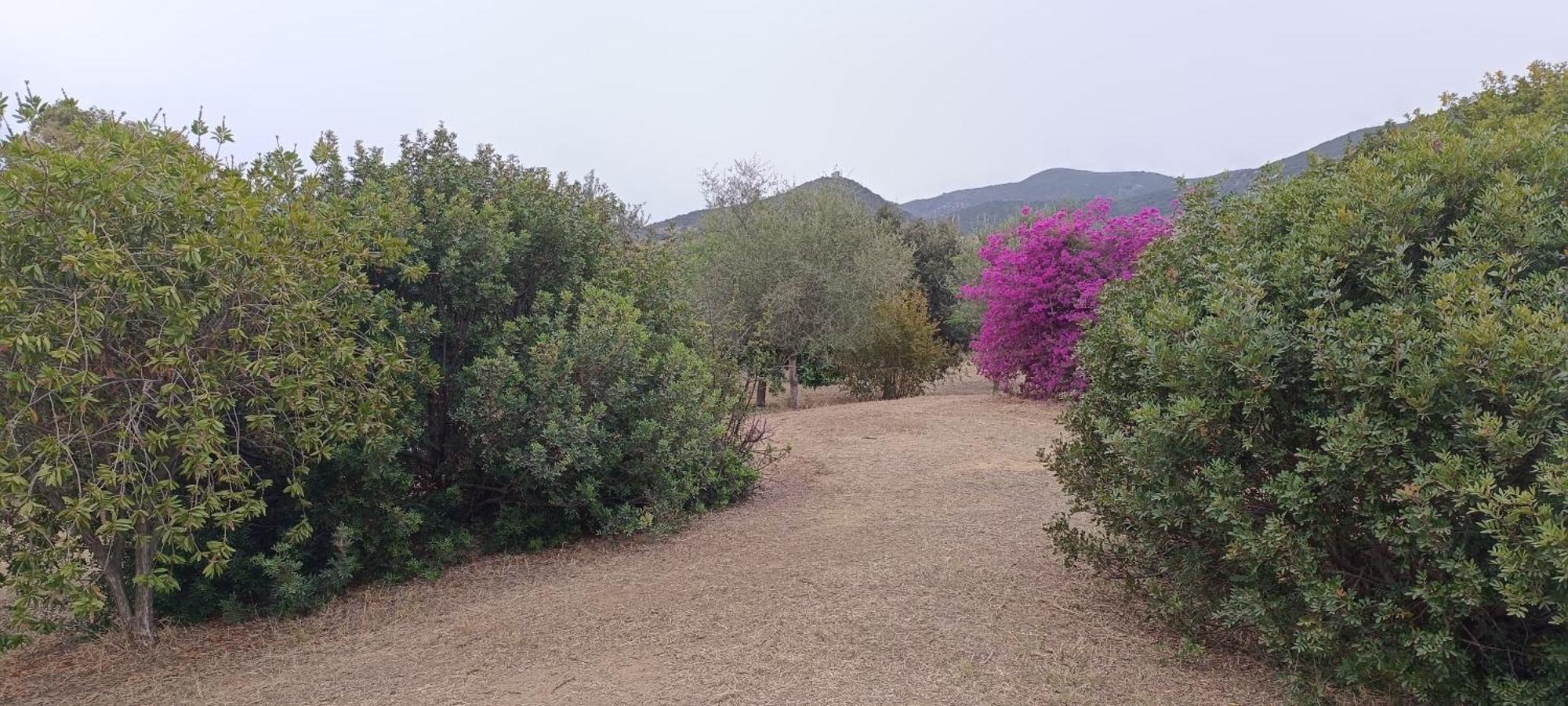 Sa Teria Village Tertenia Exterior photo